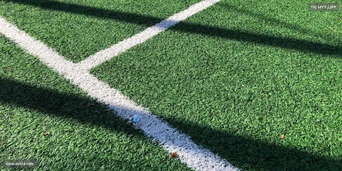 九游会老哥——🧗向上攀登,每一步都可靠!